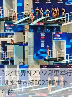 跳水世界杯2022哪里举行,跳水世界杯2022哪里举行的