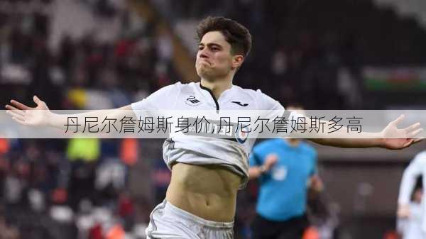 丹尼尔詹姆斯身价,丹尼尔詹姆斯多高
