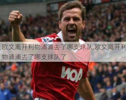 欧文离开利物浦浦去了哪支球队,欧文离开利物浦浦去了哪支球队了
