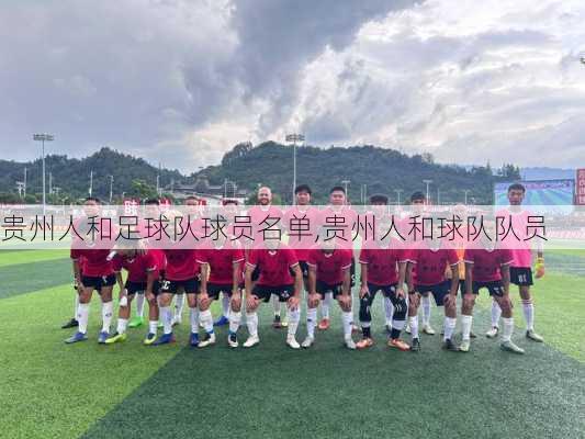 贵州人和足球队球员名单,贵州人和球队队员