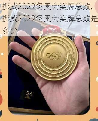 挪威2022冬奥会奖牌总数,挪威2022冬奥会奖牌总数是多少