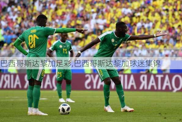 巴西哥斯达黎加足彩,巴西哥斯达黎加球迷集锦