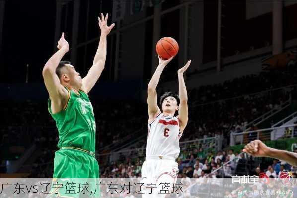 广东vs辽宁篮球,广东对辽宁篮球
