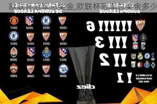 欧联杯冠军总奖金,欧联杯冠军总奖金多少