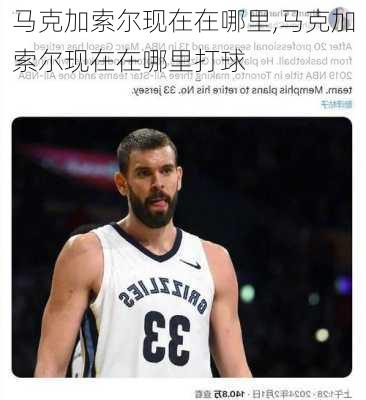 马克加索尔现在在哪里,马克加索尔现在在哪里打球