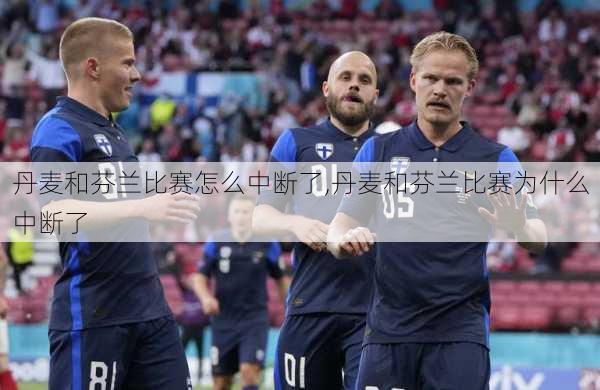 丹麦和芬兰比赛怎么中断了,丹麦和芬兰比赛为什么中断了