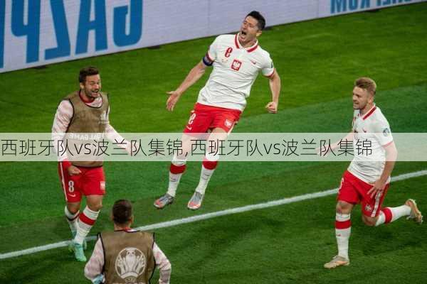 西班牙队vs波兰队集锦,西班牙队vs波兰队集锦