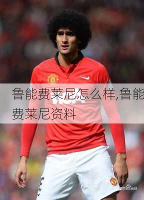 鲁能费莱尼怎么样,鲁能费莱尼资料