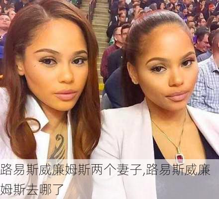 路易斯威廉姆斯两个妻子,路易斯威廉姆斯去哪了