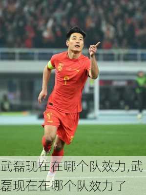 武磊现在在哪个队效力,武磊现在在哪个队效力了