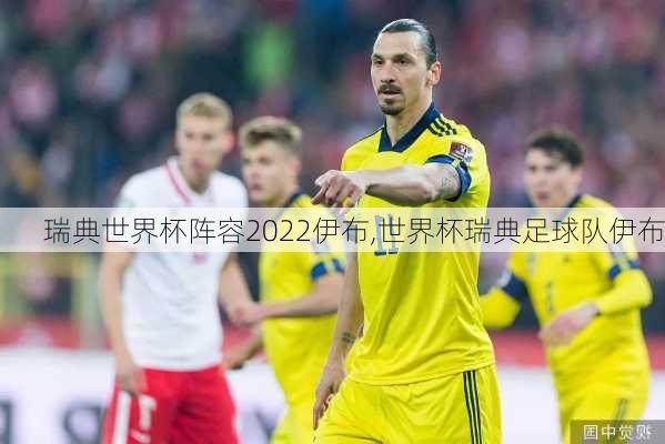 瑞典世界杯阵容2022伊布,世界杯瑞典足球队伊布