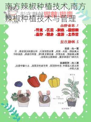 南方辣椒种植技术,南方辣椒种植技术与管理