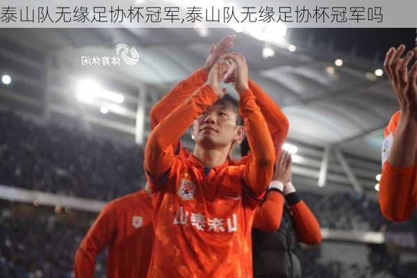 泰山队无缘足协杯冠军,泰山队无缘足协杯冠军吗