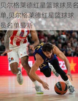 贝尔格莱德红星篮球球员名单,贝尔格莱德红星篮球球员名单最新