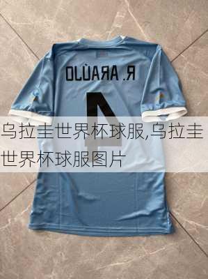 乌拉圭世界杯球服,乌拉圭世界杯球服图片