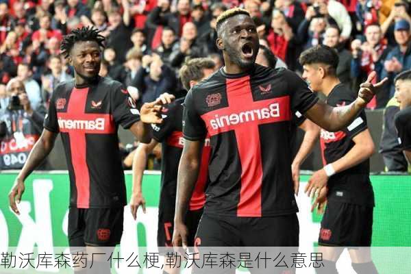 勒沃库森药厂什么梗,勒沃库森是什么意思