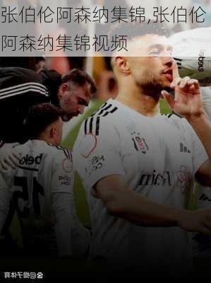 张伯伦阿森纳集锦,张伯伦阿森纳集锦视频