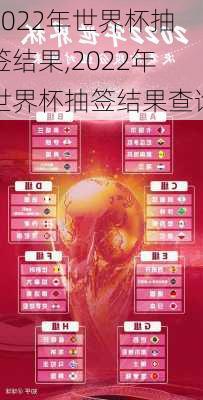 2022年世界杯抽签结果,2022年世界杯抽签结果查询