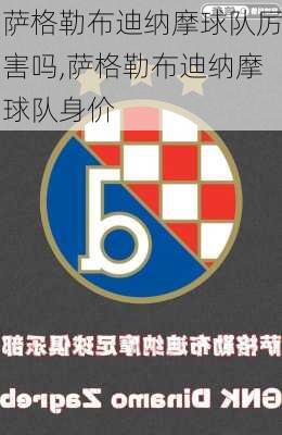 萨格勒布迪纳摩球队厉害吗,萨格勒布迪纳摩球队身价