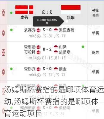 汤姆斯杯赛指的是哪项体育运动,汤姆斯杯赛指的是哪项体育运动项目