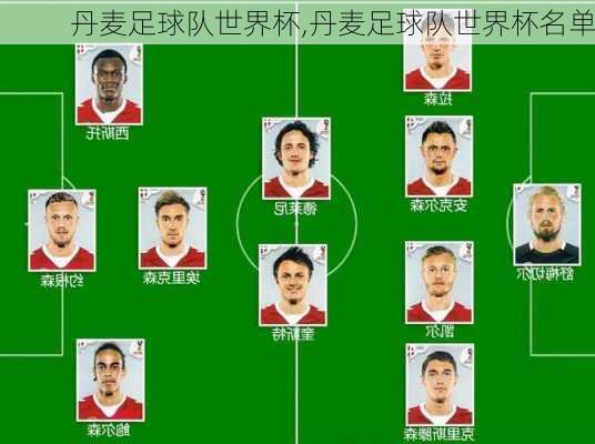 丹麦足球队世界杯,丹麦足球队世界杯名单