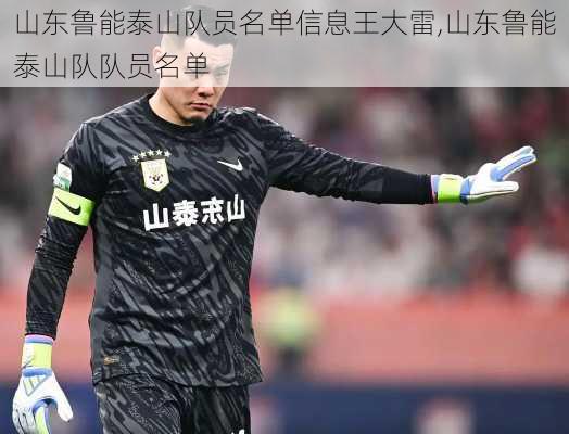 山东鲁能泰山队员名单信息王大雷,山东鲁能泰山队队员名单
