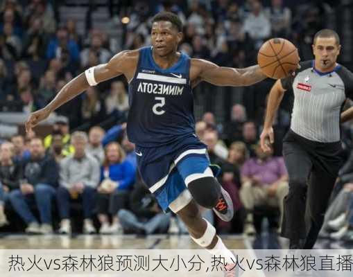 热火vs森林狼预测大小分,热火vs森林狼直播