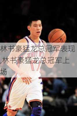 林书豪猛龙总冠军表现,林书豪猛龙总冠军上场