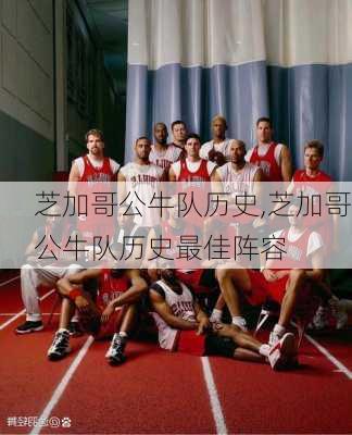 芝加哥公牛队历史,芝加哥公牛队历史最佳阵容
