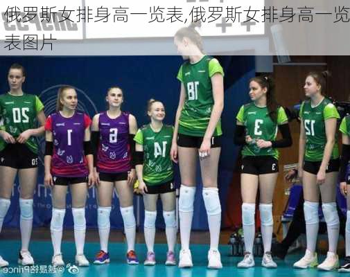 俄罗斯女排身高一览表,俄罗斯女排身高一览表图片