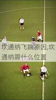 坎通纳飞踹原因,坎通纳踢什么位置