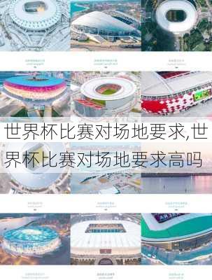 世界杯比赛对场地要求,世界杯比赛对场地要求高吗