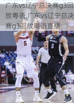 广东vs辽宁总决赛g3回放粤语,广东vs辽宁总决赛g3回放粤语直播