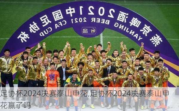 足协杯2024决赛泰山申花,足协杯2024决赛泰山申花赢了吗