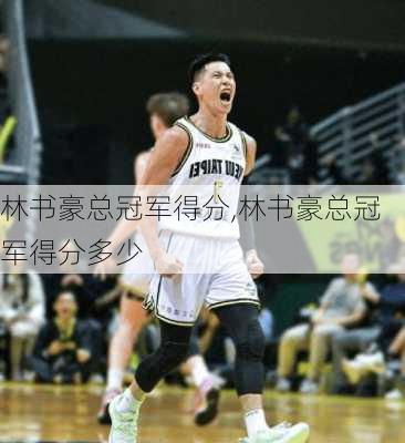 林书豪总冠军得分,林书豪总冠军得分多少