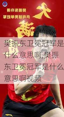 樊振东卫冕冠军是什么意思啊,樊振东卫冕冠军是什么意思啊视频
