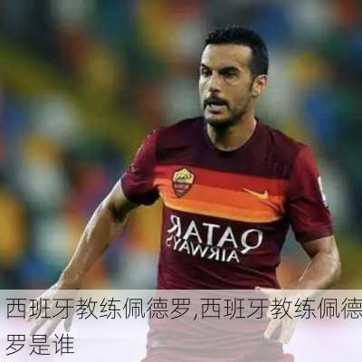西班牙教练佩德罗,西班牙教练佩德罗是谁