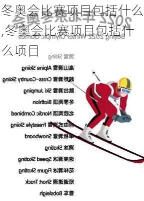 冬奥会比赛项目包括什么,冬奥会比赛项目包括什么项目