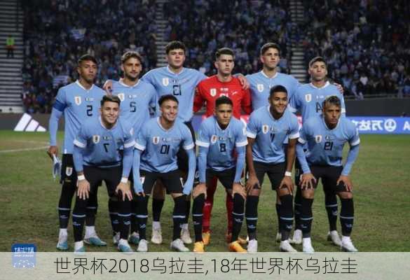 世界杯2018乌拉圭,18年世界杯乌拉圭