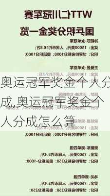 奥运冠军奖金个人分成,奥运冠军奖金个人分成怎么算