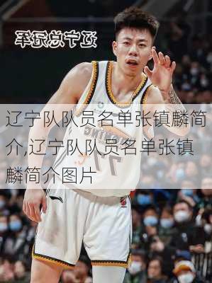 辽宁队队员名单张镇麟简介,辽宁队队员名单张镇麟简介图片