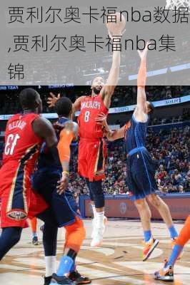 贾利尔奥卡福nba数据,贾利尔奥卡福nba集锦
