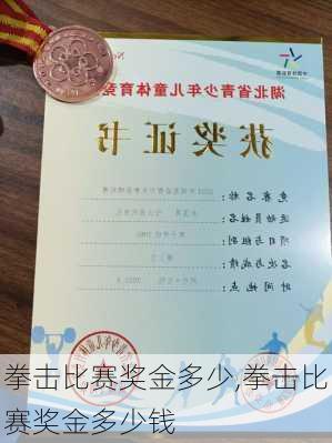 拳击比赛奖金多少,拳击比赛奖金多少钱