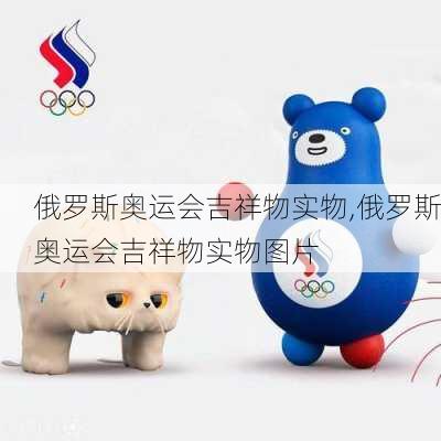 俄罗斯奥运会吉祥物实物,俄罗斯奥运会吉祥物实物图片