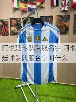阿根廷球队队服名字,阿根廷球队队服名字叫什么