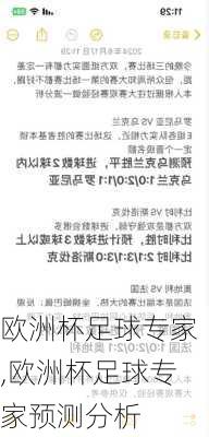 欧洲杯足球专家,欧洲杯足球专家预测分析