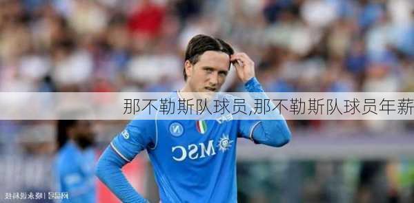 那不勒斯队球员,那不勒斯队球员年薪