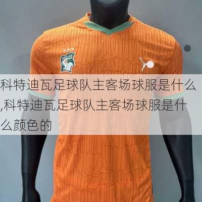 科特迪瓦足球队主客场球服是什么,科特迪瓦足球队主客场球服是什么颜色的