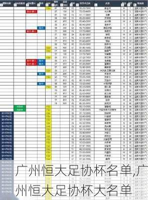 广州恒大足协杯名单,广州恒大足协杯大名单