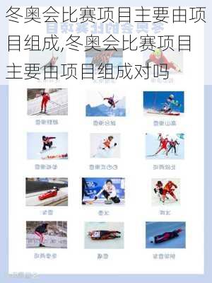 冬奥会比赛项目主要由项目组成,冬奥会比赛项目主要由项目组成对吗